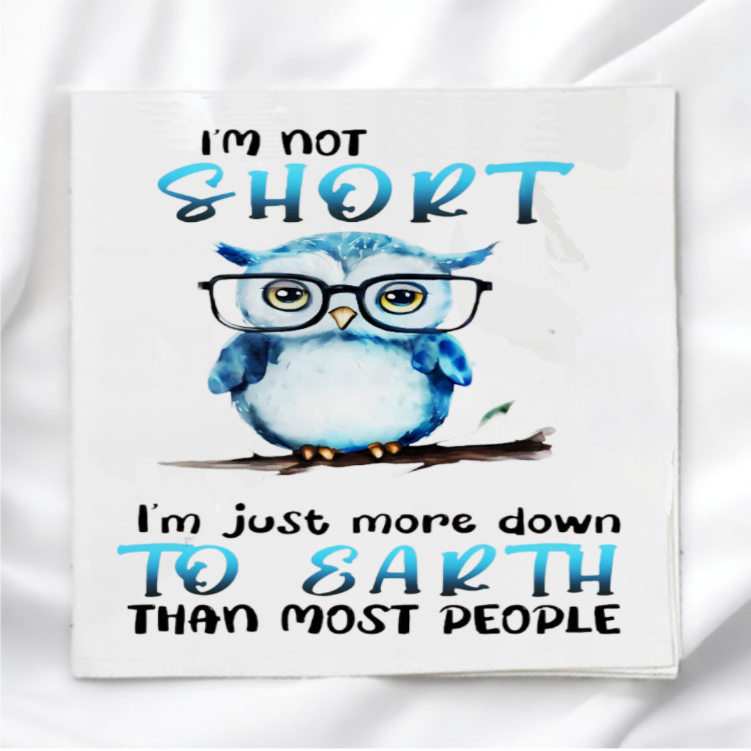 Funny Owl Humor Fabric Panel Quilt Block